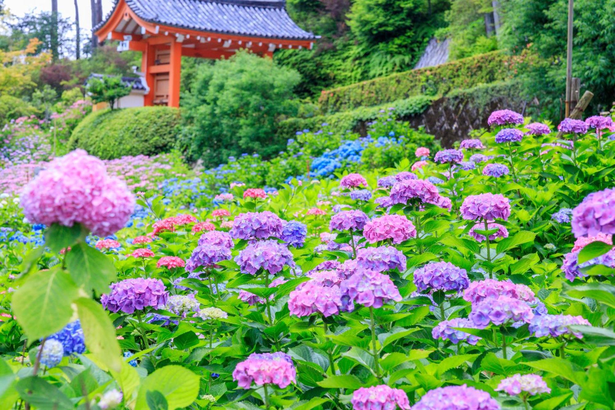 Mimaru Suites Kyoto Central 外观 照片